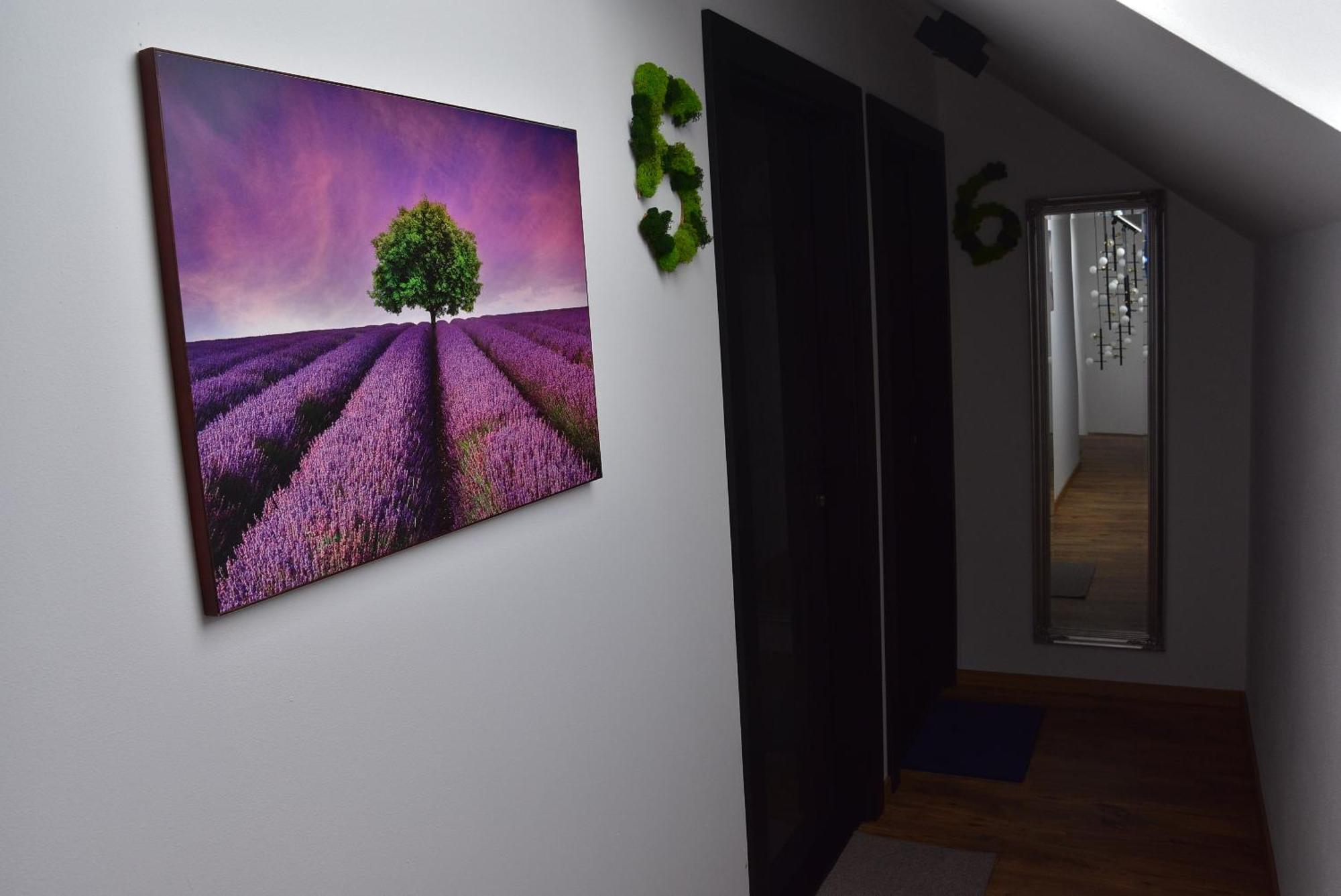 Apartmany Zakovce & Spa Vel'ka Lomnica Exteriér fotografie